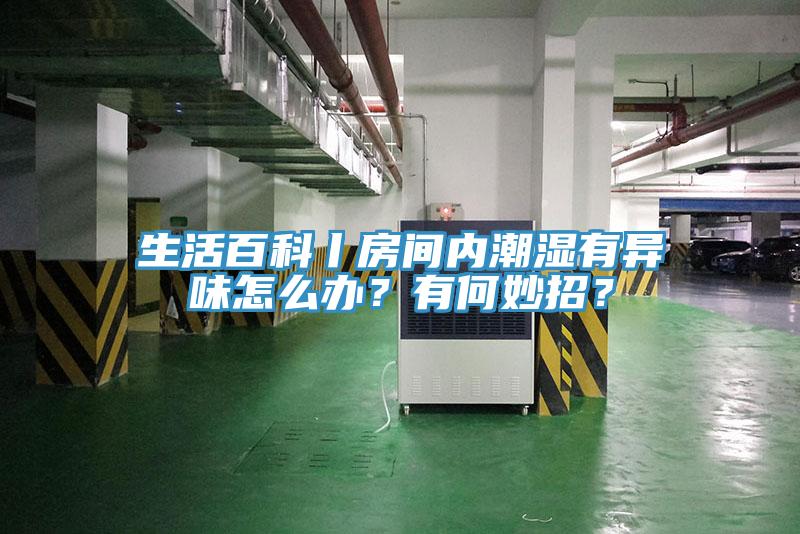 生活百科丨房間內(nèi)潮濕有異味怎么辦？有何妙招？