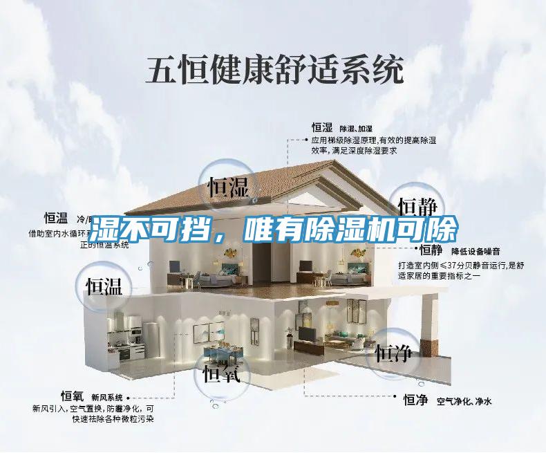濕不可擋，唯有除濕機(jī)可除