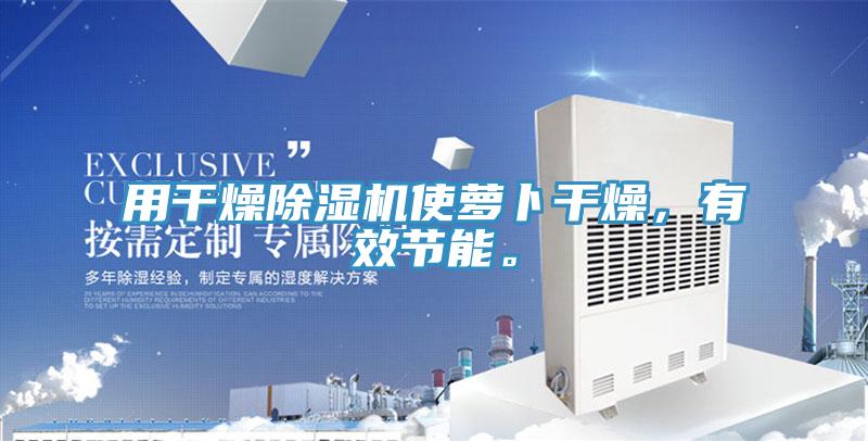 用干燥除濕機(jī)使蘿卜干燥，有效節(jié)能。