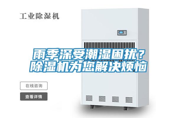 雨季深受潮濕困擾？除濕機(jī)為您解決煩惱