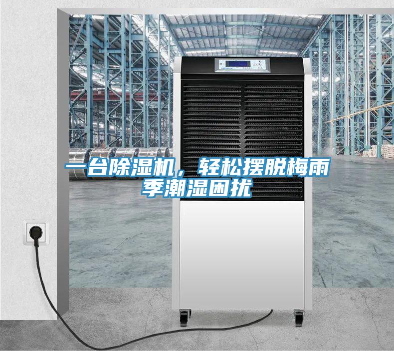 一臺除濕機，輕松擺脫梅雨季潮濕困擾