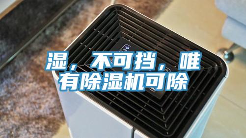 濕，不可擋，唯有除濕機(jī)可除