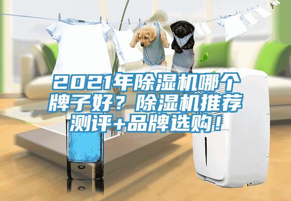 2021年除濕機哪個牌子好？除濕機推薦測評+品牌選購！