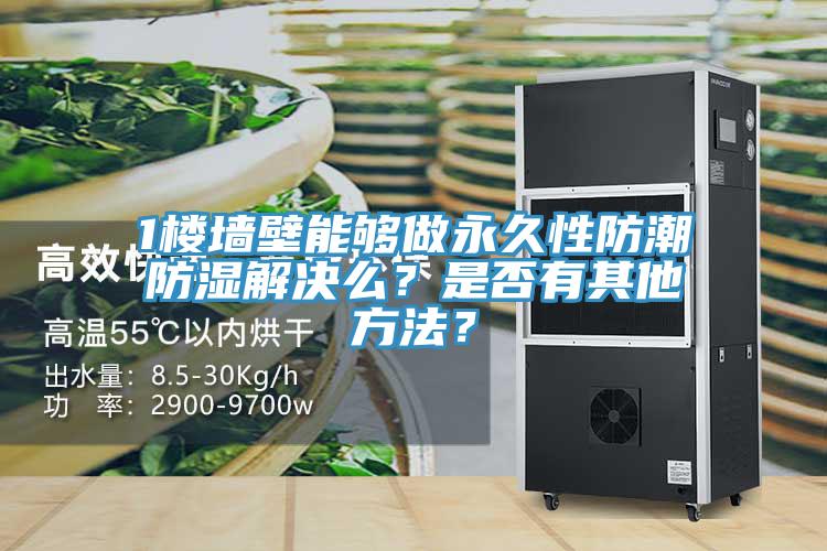1樓墻壁能夠做永久性防潮防濕解決么？是否有其他方法？