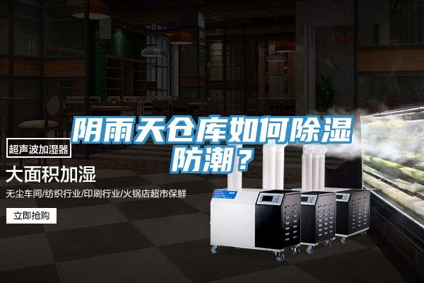 陰雨天倉庫如何除濕防潮？