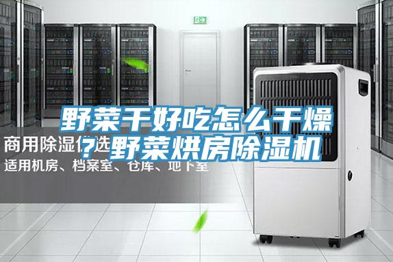 野菜干好吃怎么干燥？野菜烘房除濕機