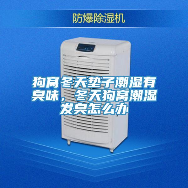 狗窩冬天墊子潮濕有臭味，冬天狗窩潮濕發(fā)臭怎么辦