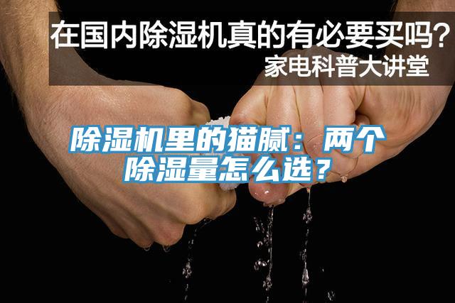 除濕機(jī)里的貓膩：兩個(gè)除濕量怎么選？
