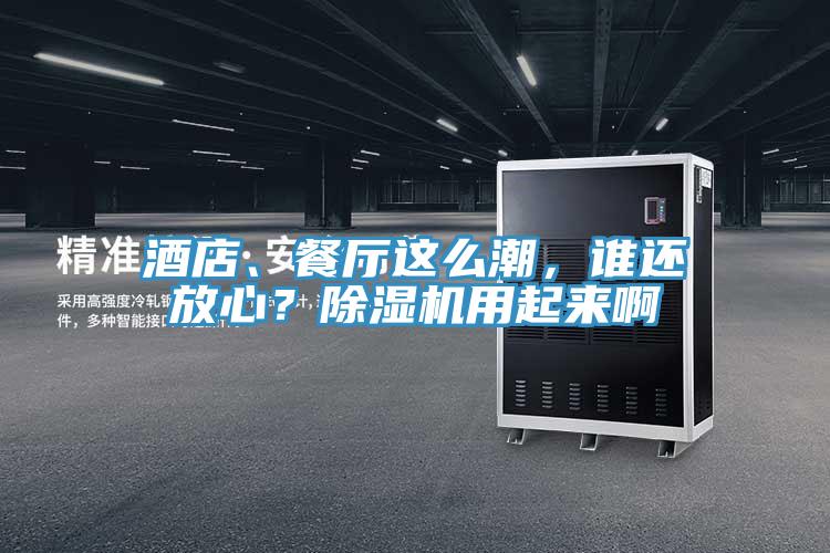 酒店、餐廳這么潮，誰(shuí)還放心？除濕機(jī)用起來(lái)啊