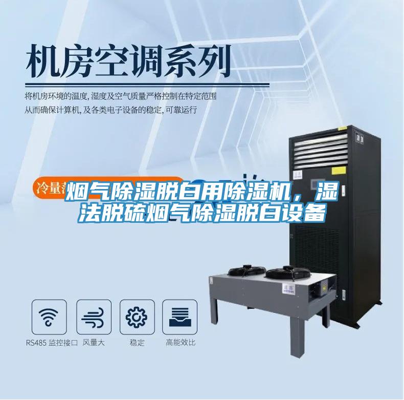 煙氣除濕脫白用除濕機，濕法脫硫煙氣除濕脫白設(shè)備
