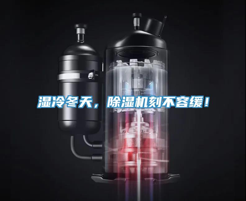 濕冷冬天，除濕機刻不容緩！