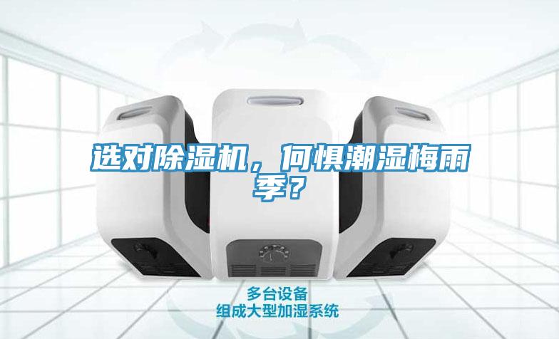 選對除濕機，何懼潮濕梅雨季？