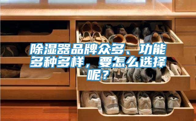 除濕器品牌眾多、功能多種多樣，要怎么選擇呢？
