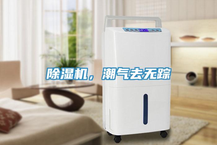 除濕機(jī)，潮氣去無(wú)蹤