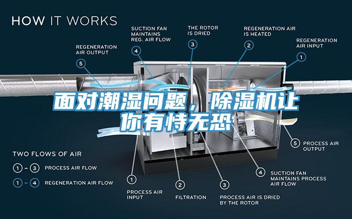 面對(duì)潮濕問(wèn)題，除濕機(jī)讓你有恃無(wú)恐