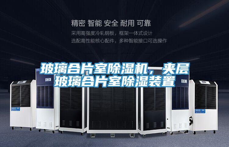玻璃合片室除濕機(jī)，夾層玻璃合片室除濕裝置