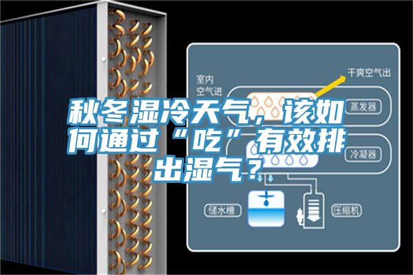 秋冬濕冷天氣，該如何通過“吃”有效排出濕氣？