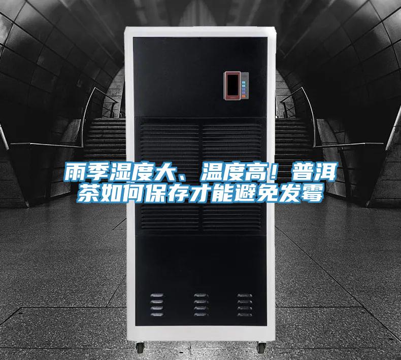 雨季濕度大、溫度高！普洱茶如何保存才能避免發(fā)霉