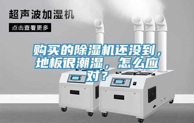 購(gòu)買的除濕機(jī)還沒(méi)到，地板很潮濕，怎么應(yīng)對(duì)？