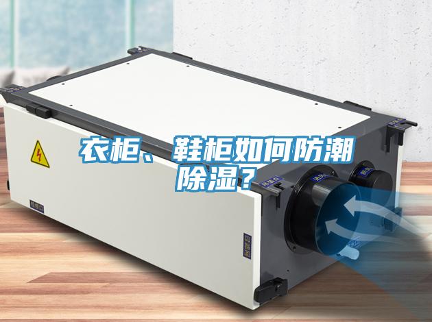 衣柜、鞋柜如何防潮除濕？