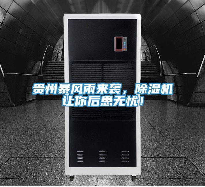 貴州暴風雨來襲，除濕機讓你后患無憂！