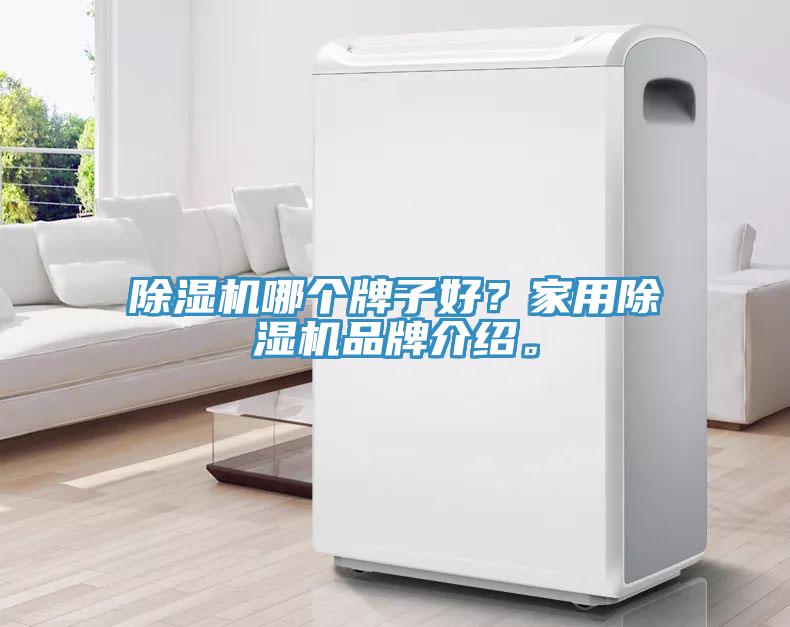 除濕機哪個牌子好？家用除濕機品牌介紹。
