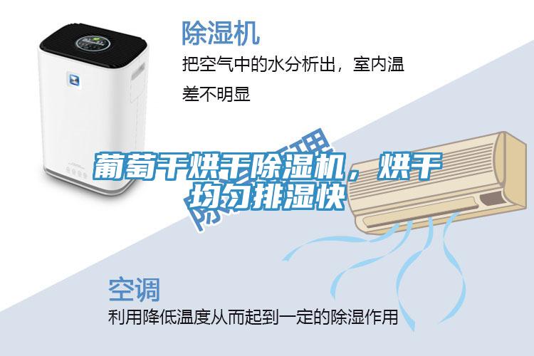 葡萄干烘干除濕機，烘干均勻排濕快
