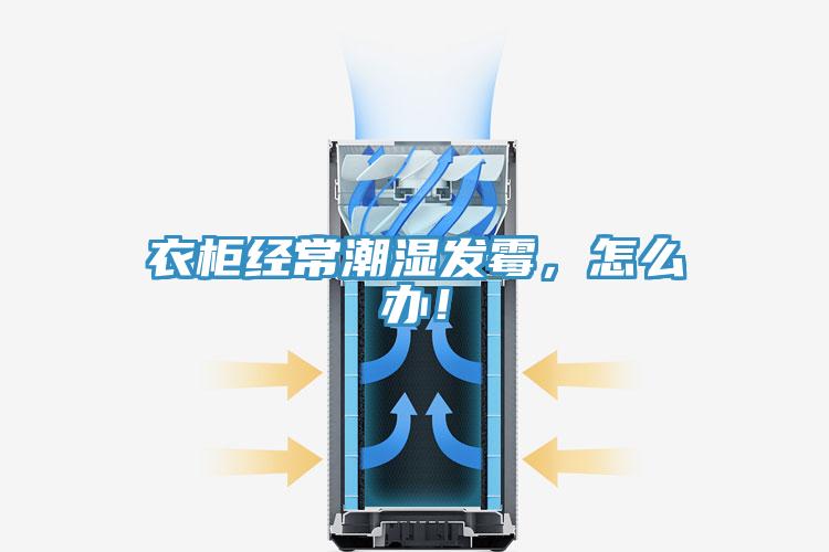 衣柜經(jīng)常潮濕發(fā)霉，怎么辦！