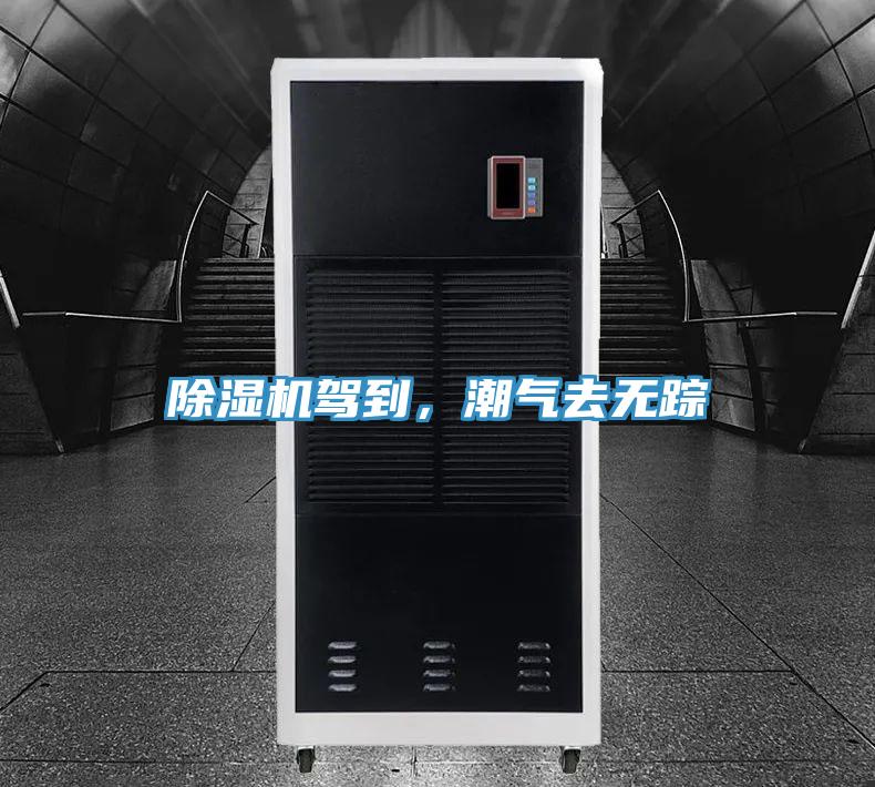 除濕機(jī)駕到，潮氣去無(wú)蹤