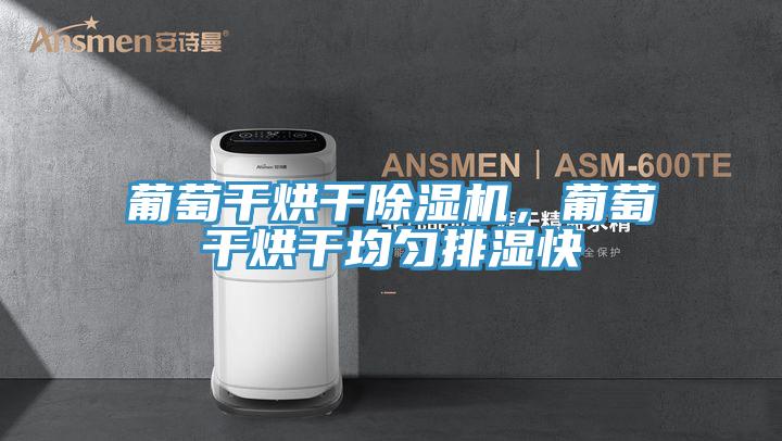 葡萄干烘干除濕機，葡萄干烘干均勻排濕快