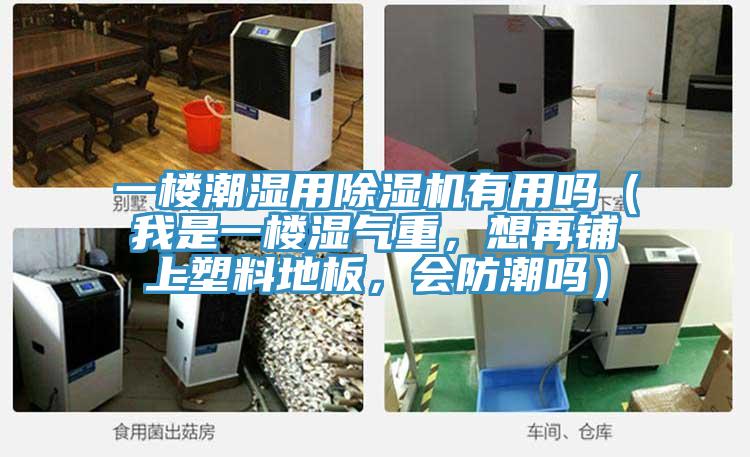 一樓潮濕用除濕機有用嗎（我是一樓濕氣重，想再鋪上塑料地板，會防潮嗎）