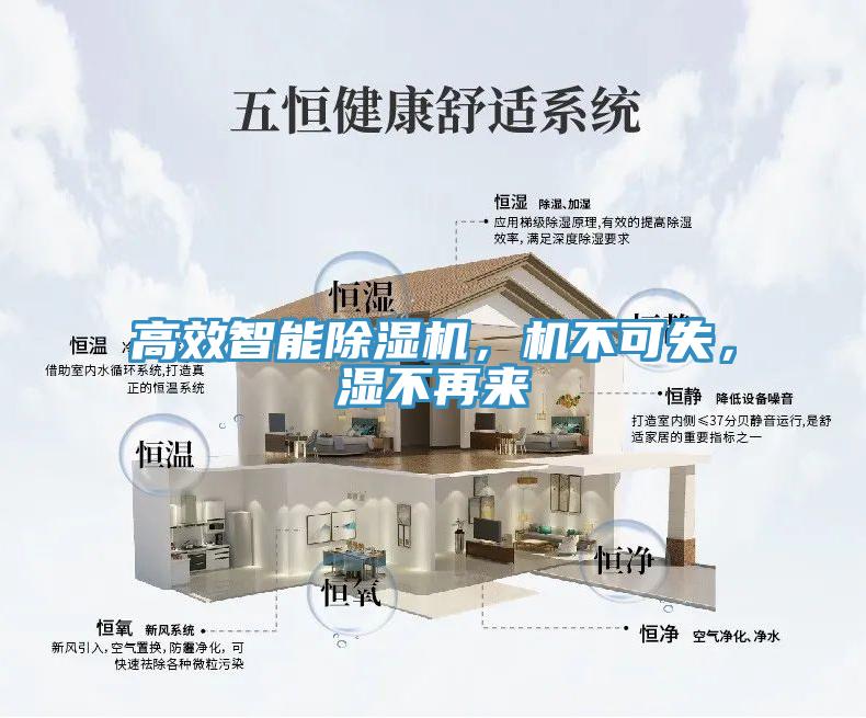 高效智能除濕機(jī)，機(jī)不可失，濕不再來(lái)