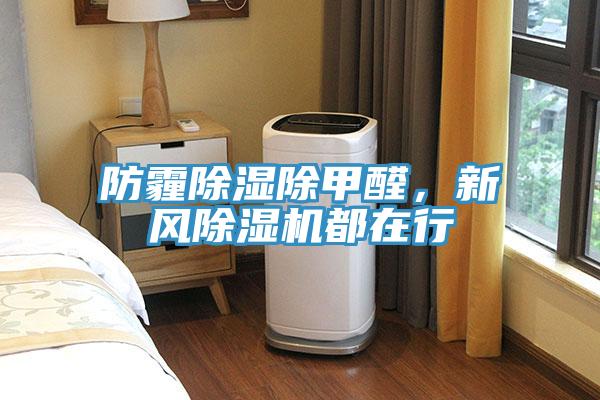 防霾除濕除甲醛，新風(fēng)除濕機(jī)都在行