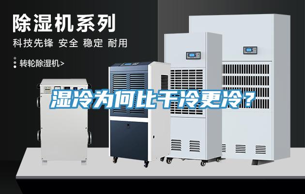 濕冷為何比干冷更冷？