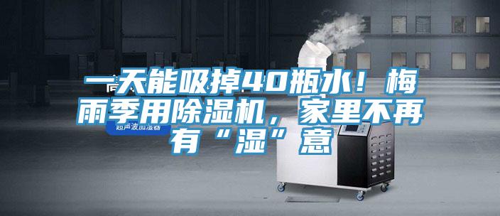 一天能吸掉40瓶水！梅雨季用除濕機，家里不再有“濕”意