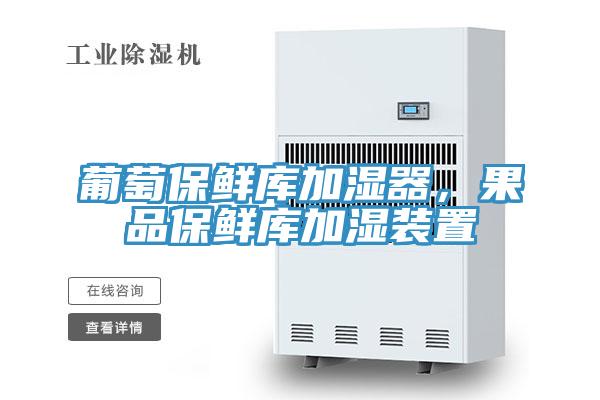 葡萄保鮮庫加濕器，果品保鮮庫加濕裝置