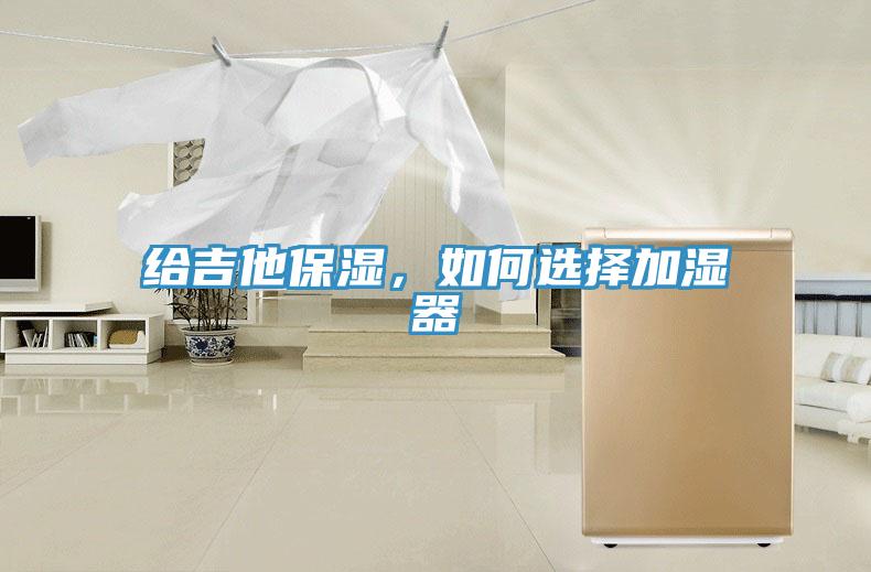 給吉他保濕，如何選擇加濕器