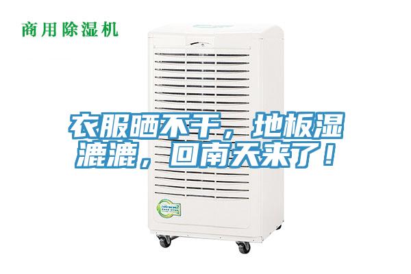 衣服曬不干，地板濕漉漉，回南天來了！