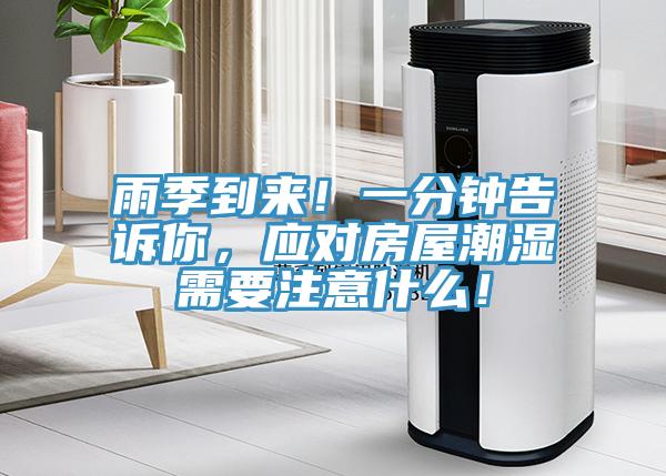 雨季到來！一分鐘告訴你，應(yīng)對房屋潮濕需要注意什么！
