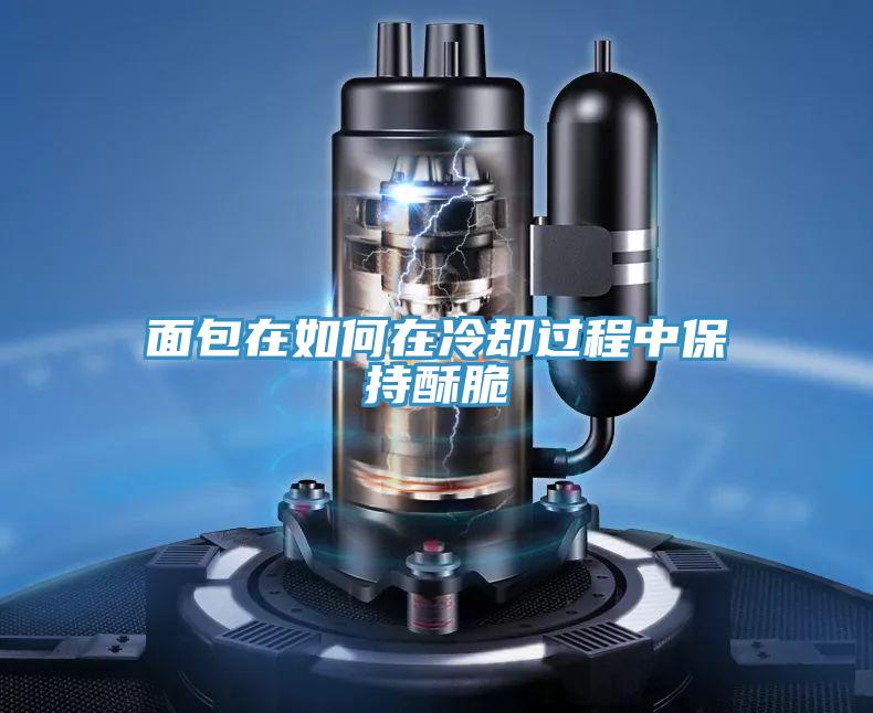 面包在如何在冷卻過(guò)程中保持酥脆