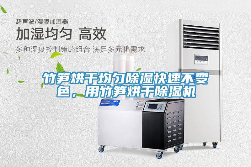 竹筍烘干均勻除濕快速不變色，用竹筍烘干除濕機
