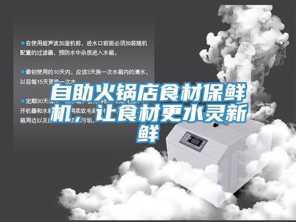 自助火鍋店食材保鮮機，讓食材更水靈新鮮