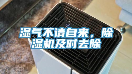 濕氣不請自來，除濕機(jī)及時去除