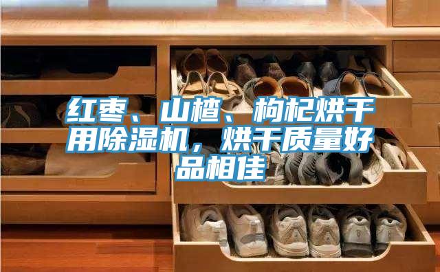 紅棗、山楂、枸杞烘干用除濕機(jī)，烘干質(zhì)量好品相佳