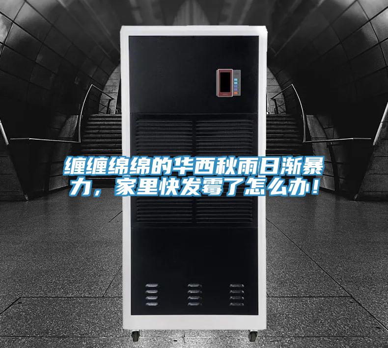 纏纏綿綿的華西秋雨日漸暴力，家里快發(fā)霉了怎么辦！