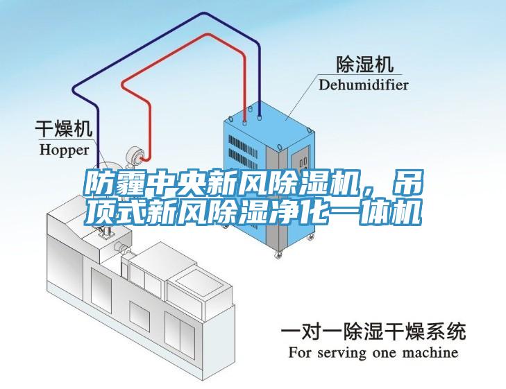 防霾中央新風除濕機，吊頂式新風除濕凈化一體機
