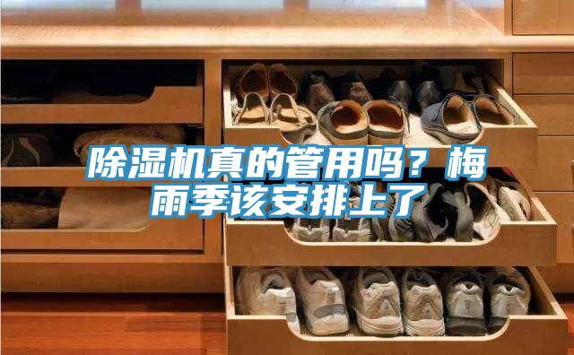 除濕機真的管用嗎？梅雨季該安排上了