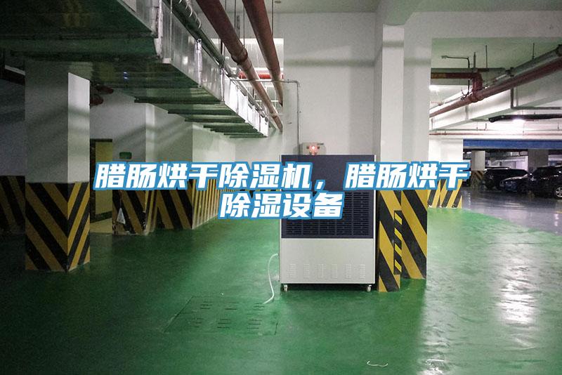 臘腸烘干除濕機，臘腸烘干除濕設(shè)備