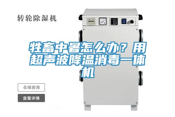 牲畜中暑怎么辦？用超聲波降溫消毒一體機