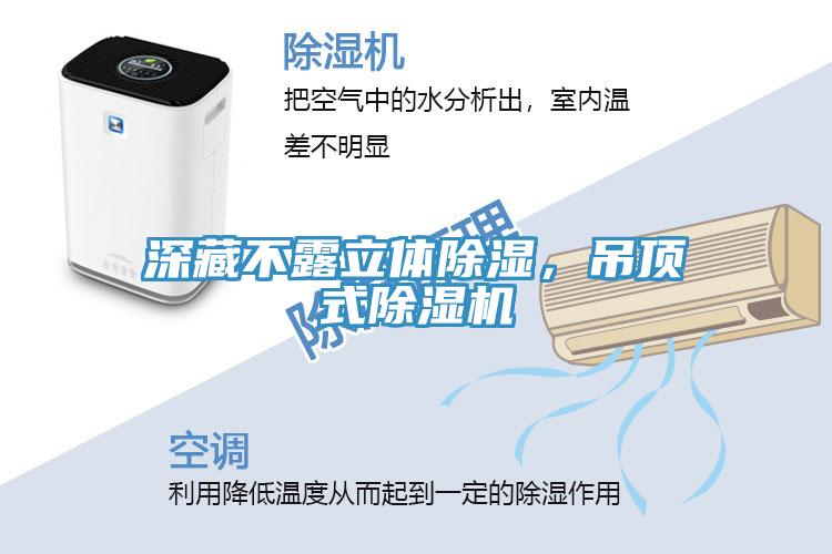 深藏不露立體除濕，吊頂式除濕機(jī)